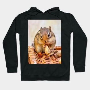 Sweet chipmunk shares a peanut Hoodie